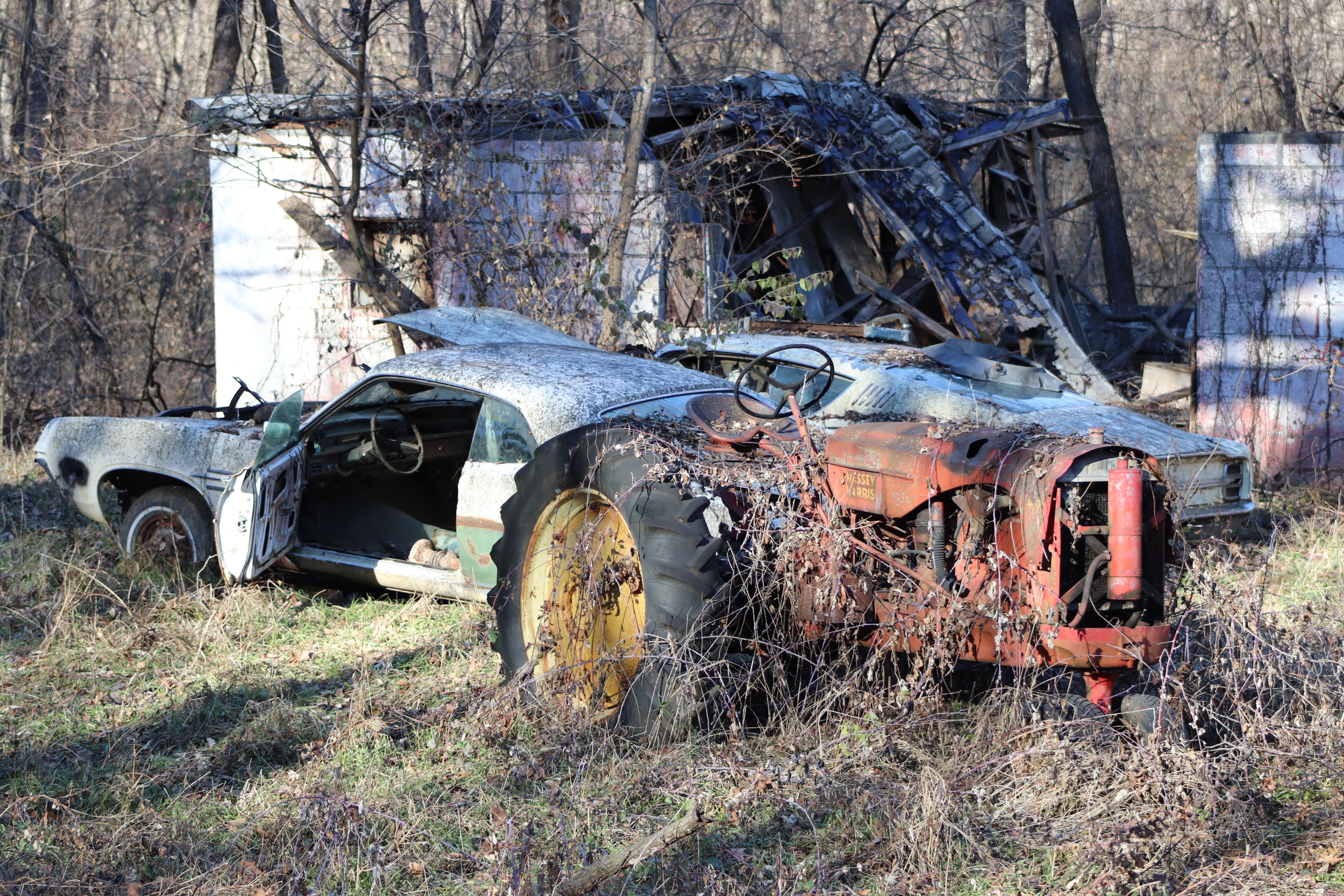 Abandoned vehicles rusting outdoors beside a river